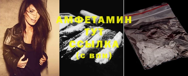 прущий лед Горняк