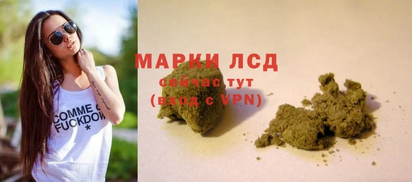 PSILOCYBIN Горнозаводск