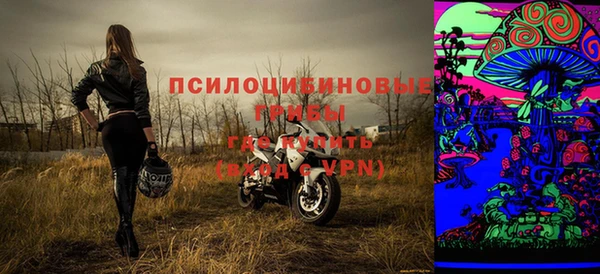 PSILOCYBIN Горнозаводск