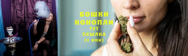 прущий лед Горно-Алтайск