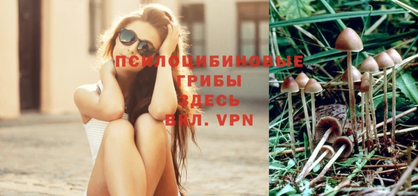 прущий лед Горняк
