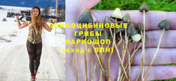 прущий лед Горняк
