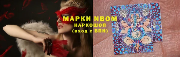 PSILOCYBIN Горнозаводск