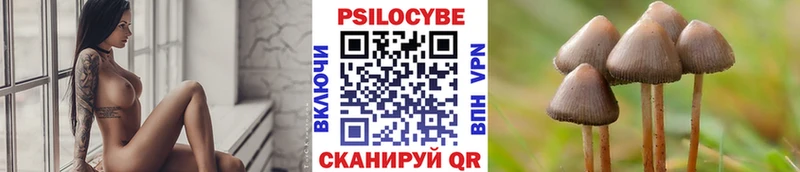 Псилоцибиновые грибы Cubensis  Павловская 